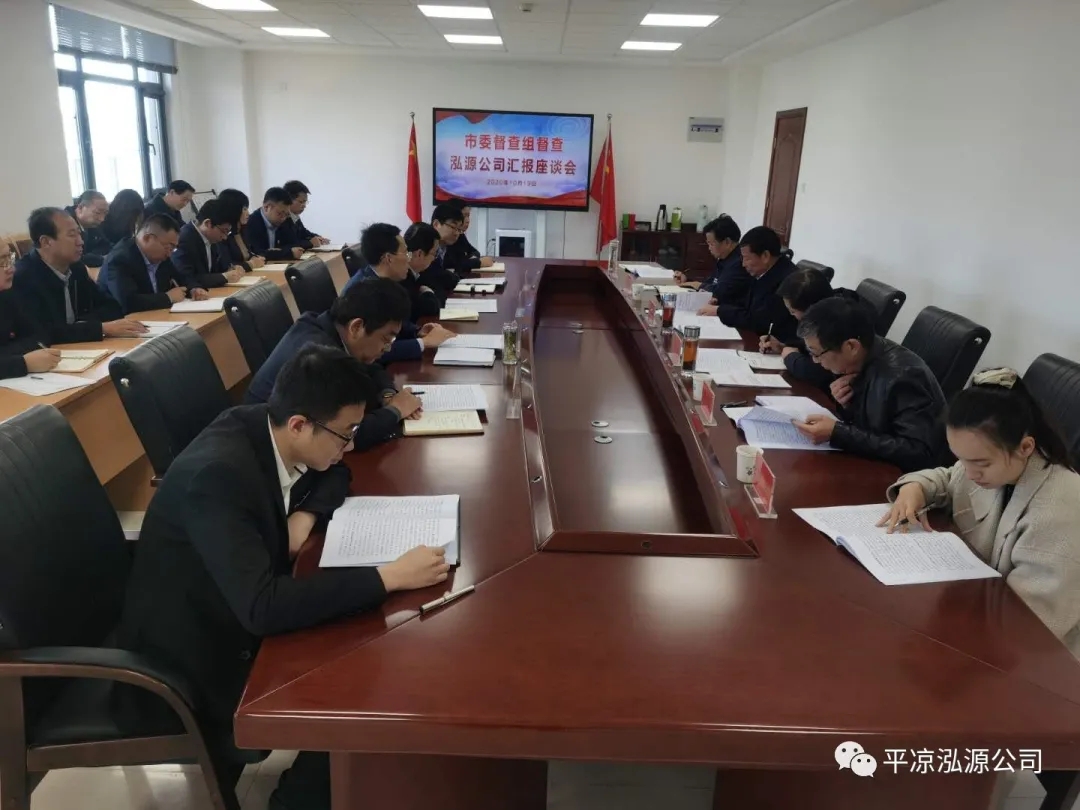 市委辦公室、市政府國資委督查泓源公司工作(圖4)